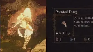 Dragon's Dogma 2 Warg Spawn Location For Pointed Fang Farming Near Sacred Arbor Postgame
