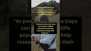 AI in Wildlife Conservation