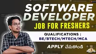 Software Developer Job For Freshers | IT Jobs For Freshers | Software Jobs