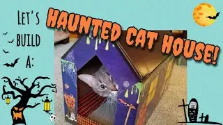 Let's Build a Haunted Cat House!