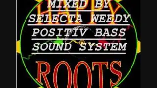 SELECTA WEEDY MIX 2011
