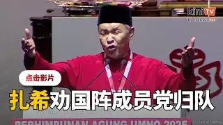 坦言组团结政府却引发国阵裂痕   唯扎希劝马华国大党归队