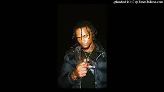 [FREE] BIGBABYGUCCI + FISH TYPE BEAT 