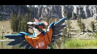 LEGO Kingfisher by an Alpine Lake | No Talking ASMR Build