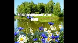 Maricos Strannik - Как прекрасен этот мир