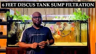 DISCUS TANK FILTRATION SETUP | SUMP FILTRATION SYSTEM | CHENNAI AQUARIUM