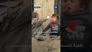 VIVA PALESTINE:  My Name Is Palestine - Garth Hewitt