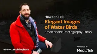 How to Click Elegant Images of Water Birds | Smartphone Photography Tricks