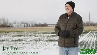 Making Best Use of Marginal Land
