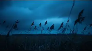 When the World Is Still Asleep | Cold Wind at Night Piano