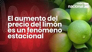 Midagri: alza de precio del lim&oacute;n se debe a factores estacionales que son temporales