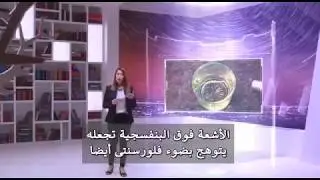 The Description of 'Light Upon Light' and the Metaphor of Olive Oil in the Qur'an