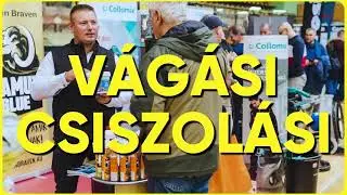 Burkolói Workshop Febr. 1. BOK csarnok