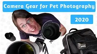 Camera Gear for Pet Photography | 2020