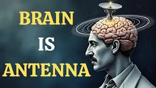 Your Brain and the Quantum Field: Tesla&rsquo;s Forgotten Theory of Thought Transmission