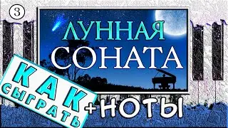 Лунная Соната — Урок №3 🎹 Как Играть На Пианино (Обучение)