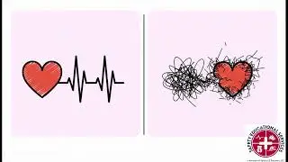 How an AED Decides to shock or not?