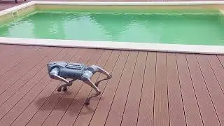 Unitree B2Go Robot Dog Motion Test - NoAudio