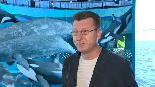 &laquo;Морская&raquo;: День в океанариуме