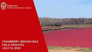Cranberry Brown Bag July 2023 Field Updates 20230721