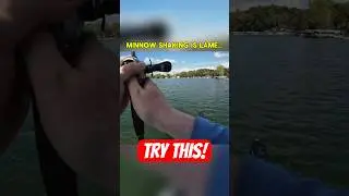 Приманка для ловли окуня, трясущая живца в толще воды, &mdash; это отстой! Попробуйте вот это! #ловляокуса