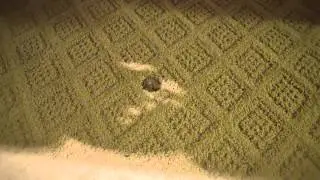 Чёрт, ты облажался со своим балисонгом