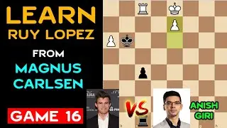 Game 16: Ruy Lopez Opening &ndash; Magnus Carlsen vs Anish Giri Catur Dunia | World Chess