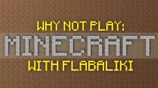 Why Not Play Minecraft - 2000 Subs!