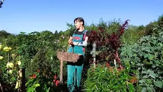 Gemüse-Überschuss einkochen