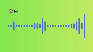 Sei AI Voice Agent - Debt Collection (happy version) - Demo