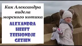 Alexandra heeft zeehondje gezien / Как Александра видела морского котика / Oostende