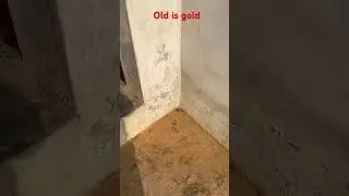 Old is gold #nonfollowers #viral #trending #music #shorts #ytshorts