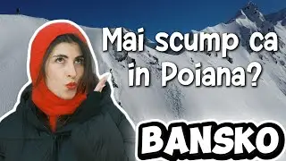 Cat am chletuit in Bansko?