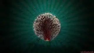 Panic by Movements