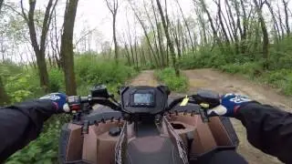 Trails, Bundy Hill, May 21