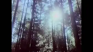 [FREE FOR PROFIT] CLOUD RAP TYPE BEAT 
