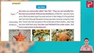 Ch 22 | Pan India | Grammar | Class 04 | Paragraph Writing | For children