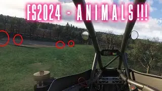 Поиск ЖИВОТНЫХ в MSFS2024!