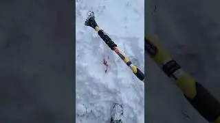 How the clean your car would snow