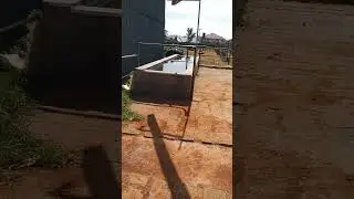 CLEAN COW WATER TROUGH.