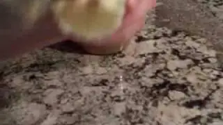 Girls that Cook