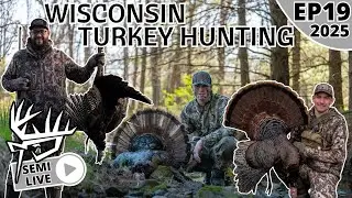 Wisconsin TURKEY Hunting | ROOST Hunts | Strutting Tom in FOG