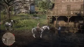 RDR2 how to get the Silver Dapple Pinto Horse easy #rdr2 #tutorial #shorts #reels #foryou #fyp #fy