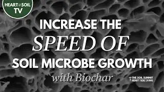 Increase the SPEED of SOIL Microbe Growth with Biochar #soilhealth