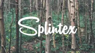 Splintex - Woods