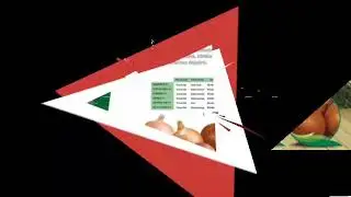 Erkenci Soğan MİNİSTER -TR