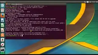 To get Lyrics on Spotify Music, Install Lyricfier on Ubuntu