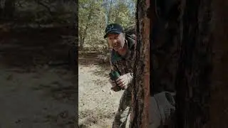 Best Hunting Tag Service On The Planet