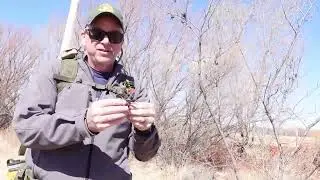 Whitfield Wildlife Conservation Area