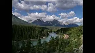 Morant's Curve